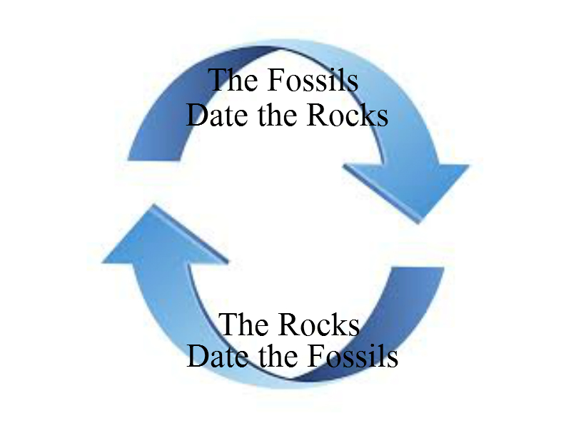 Circular Reasoning, The Science and Scripture of the Genesis creation and global flood