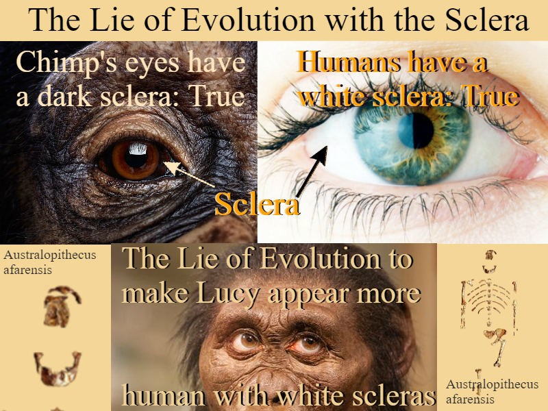 lies of Evolution